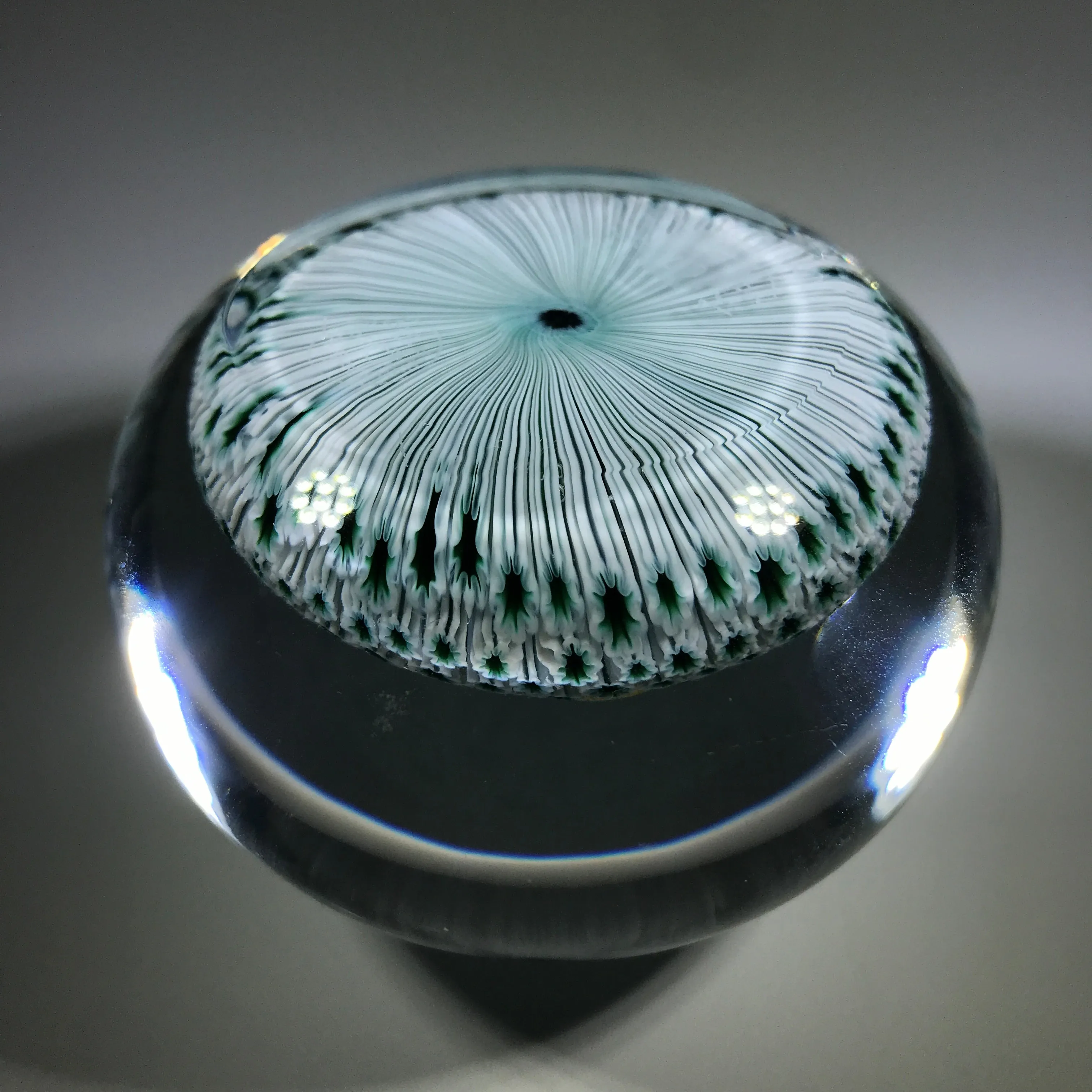 Vintage Baccarat Art Glass Paperweight Zodiac Cane Millefiori Carpet Ground