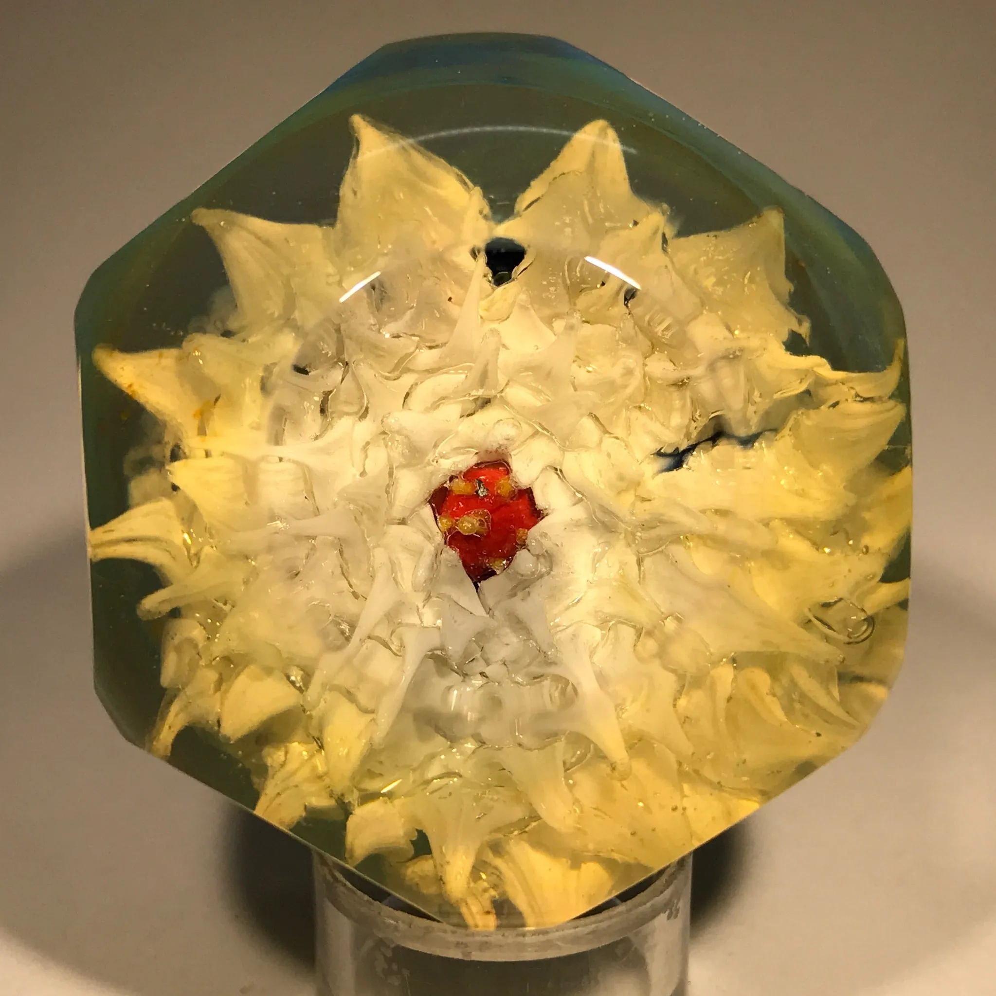 Vintage George Sarfi Art Glass Borosilicate Paperweight White Dahlia on Blue