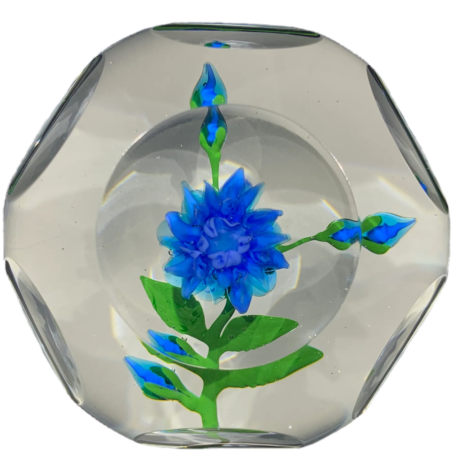 Vintage Harold Hacker Lampwork Stemed Blue Blossom on Clear with 6  1 Faceting
