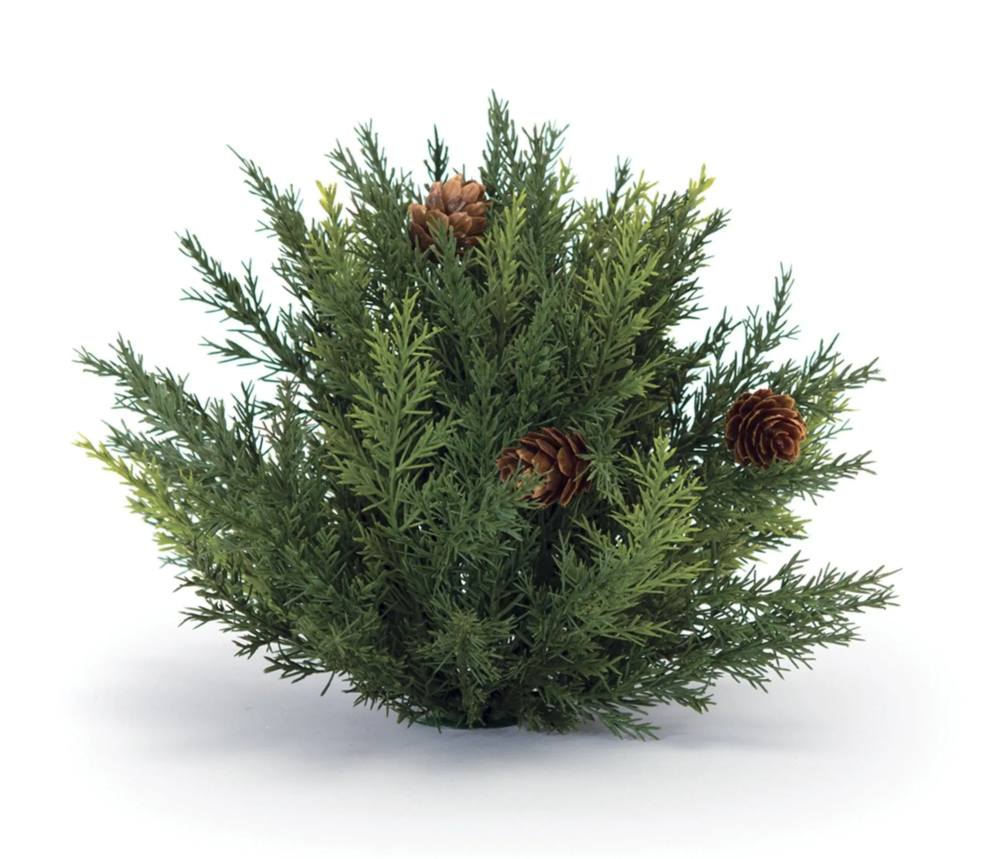 Winter Arborvitae Foliage Half Orb (Set of 2)
