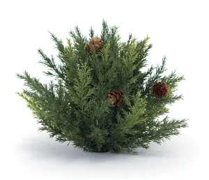Winter Arborvitae Foliage Half Orb (Set of 2)